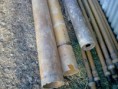 /album/fotogaleria-galeria/snimka0177-jpg/